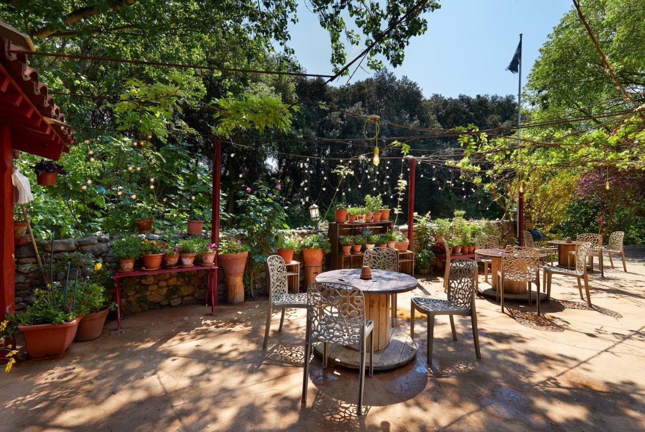 B&B Mas Torrencito Pet Friendly Parets de Ampurdá Exteriör bild