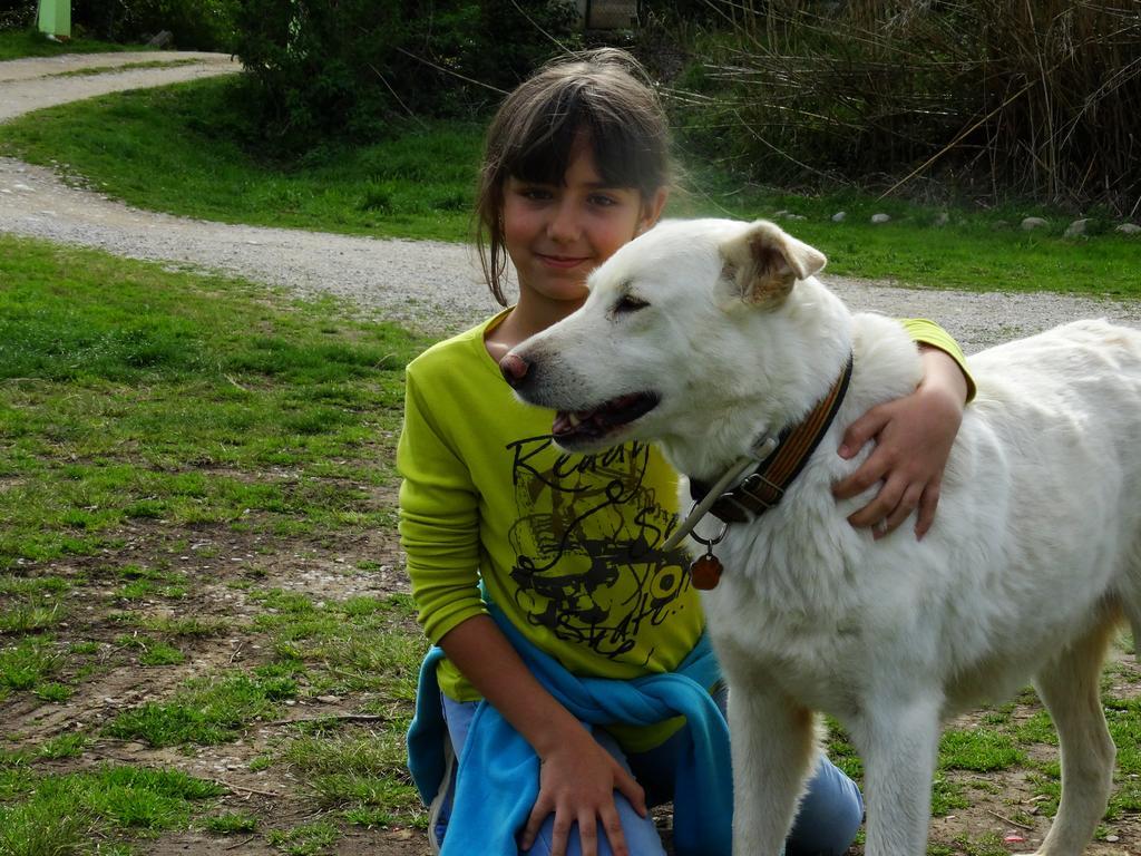 B&B Mas Torrencito Pet Friendly Parets de Ampurdá Exteriör bild